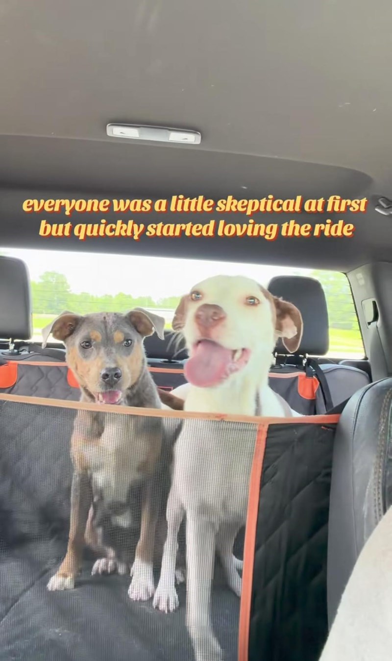 everyone was a little skeptical at first but quickly started loving the ride