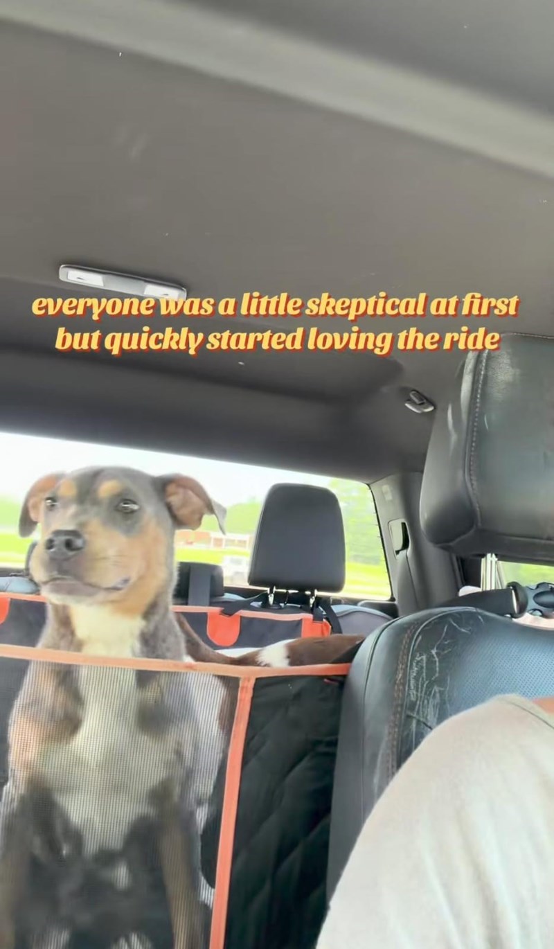 everyone was a little skeptical at first but quickly started loving the ride