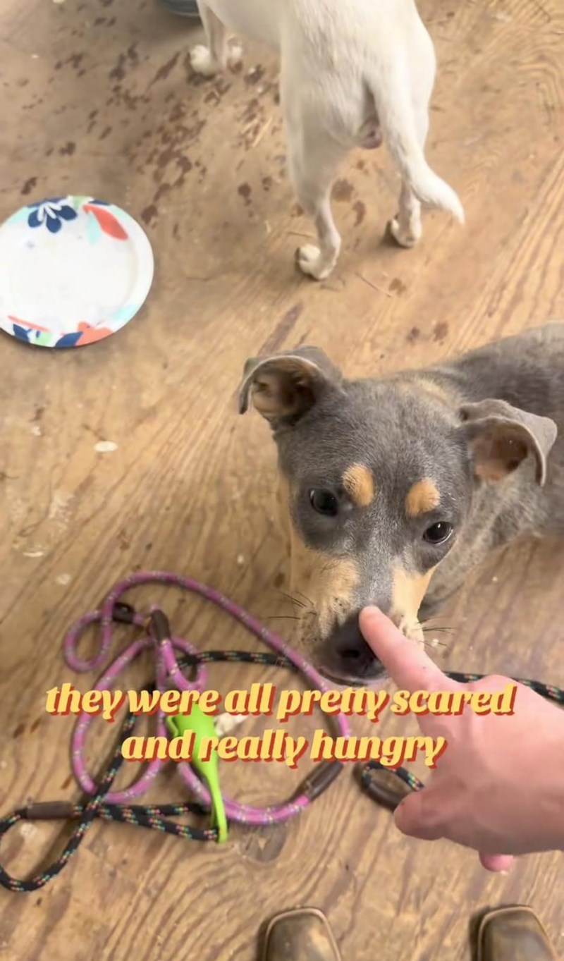 they were all pretty scared and really hungry
