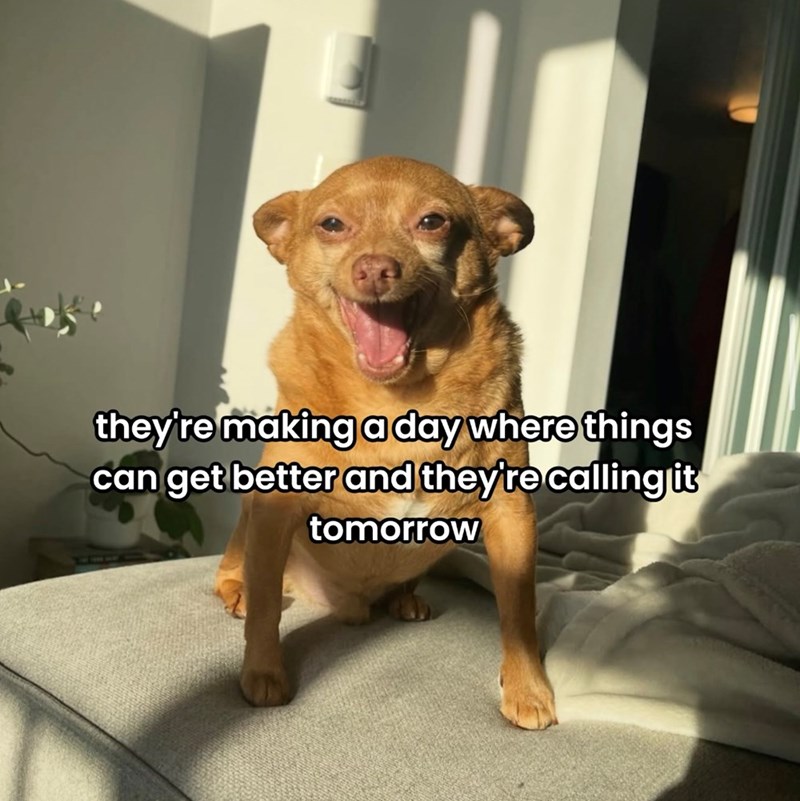 they're making a day where things can get better and they're calling it tomorrow