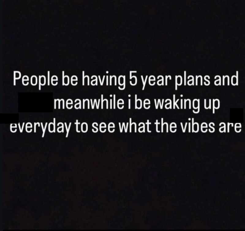 People be having 5 year plans and meanwhile i be waking up everyday to see what the vibes are
