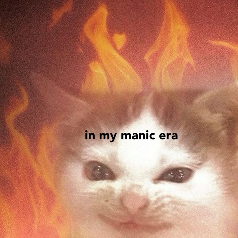 in my manic era