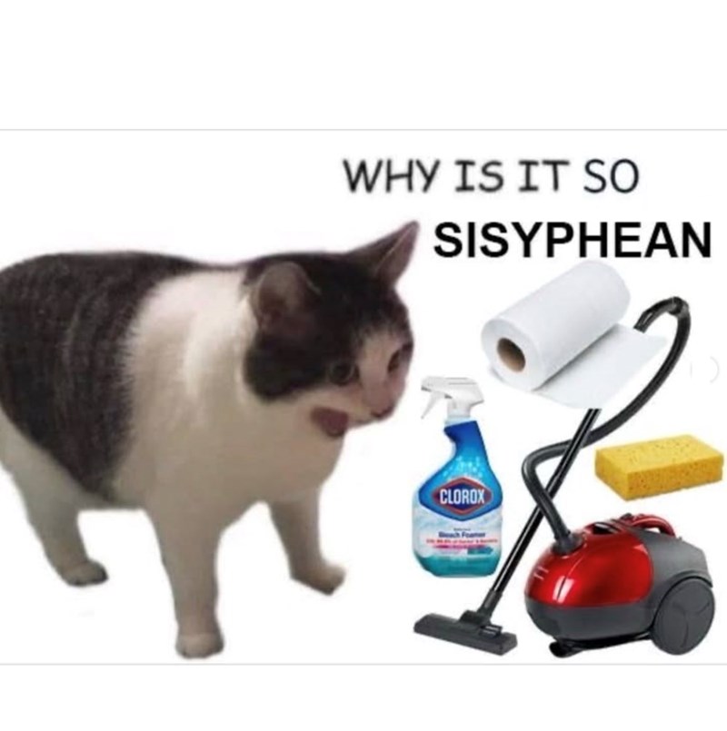 WHY IS IT SO SISYPHEAN CLOROX