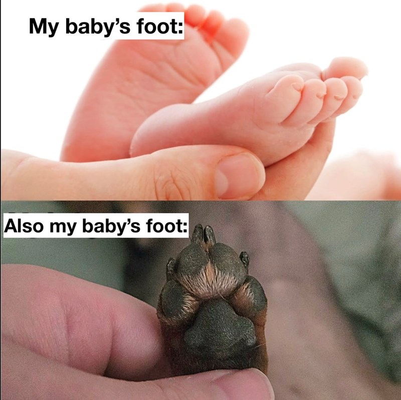 My baby's foot: Also my baby's foot: