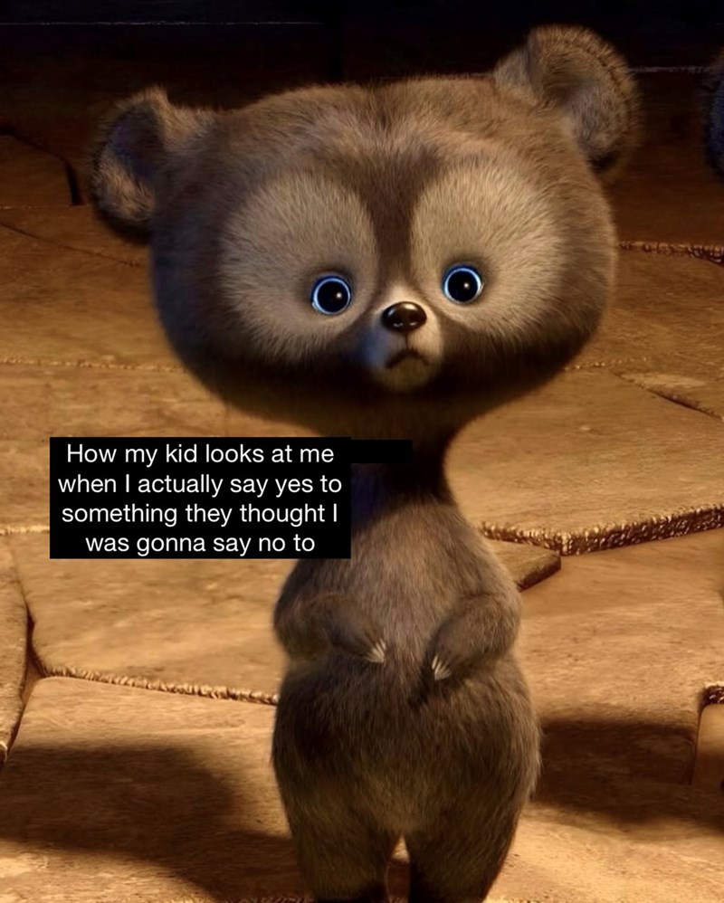 How my kid looks at me when I actually say yes to something they thought I was gonna say no to