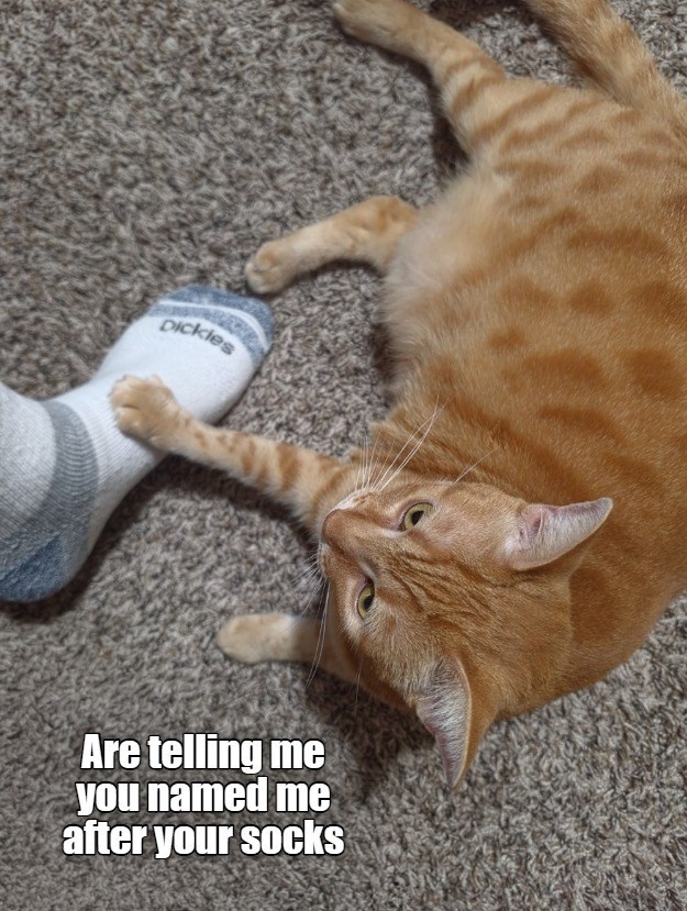 Dickies Are telling me you named me after your socks