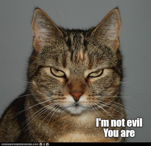 ICANHASCHEEZBURGER.COM I'm not evil You are