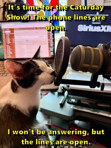 It's time for the Caturday Show! The phone lines are -open... SiriusXM I won't be answering, but the lines are open.