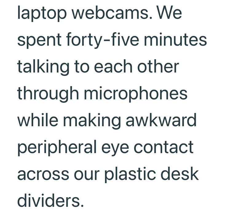 laptop webcams. We spent forty-five minutes talking to each other through microphones while making awkward peripheral eye contact across our plastic desk dividers.
