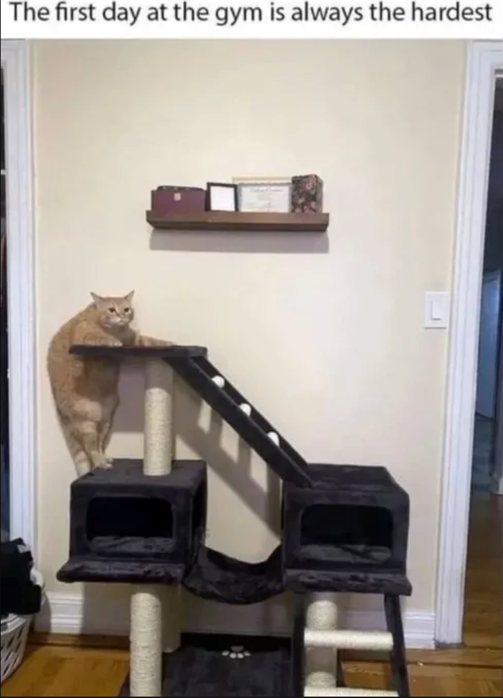 The first day at the gym is always the hardest