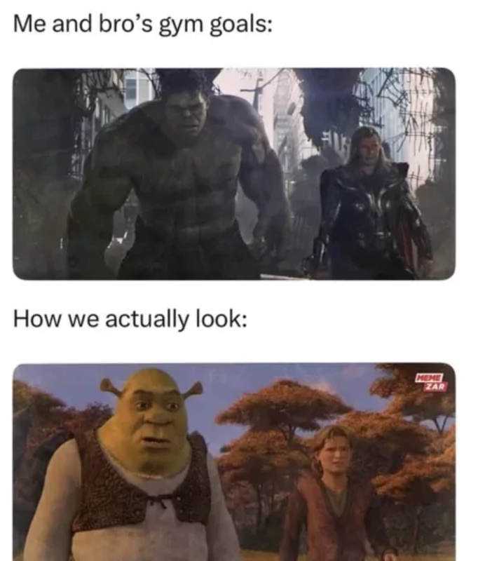 Me and bro's gym goals: How we actually look: MEME ZAR