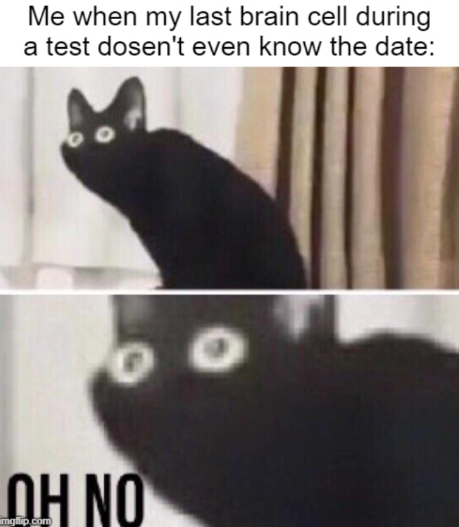 Me when my last brain cell during a test dosen't even know the date: OH NO imgflip.com