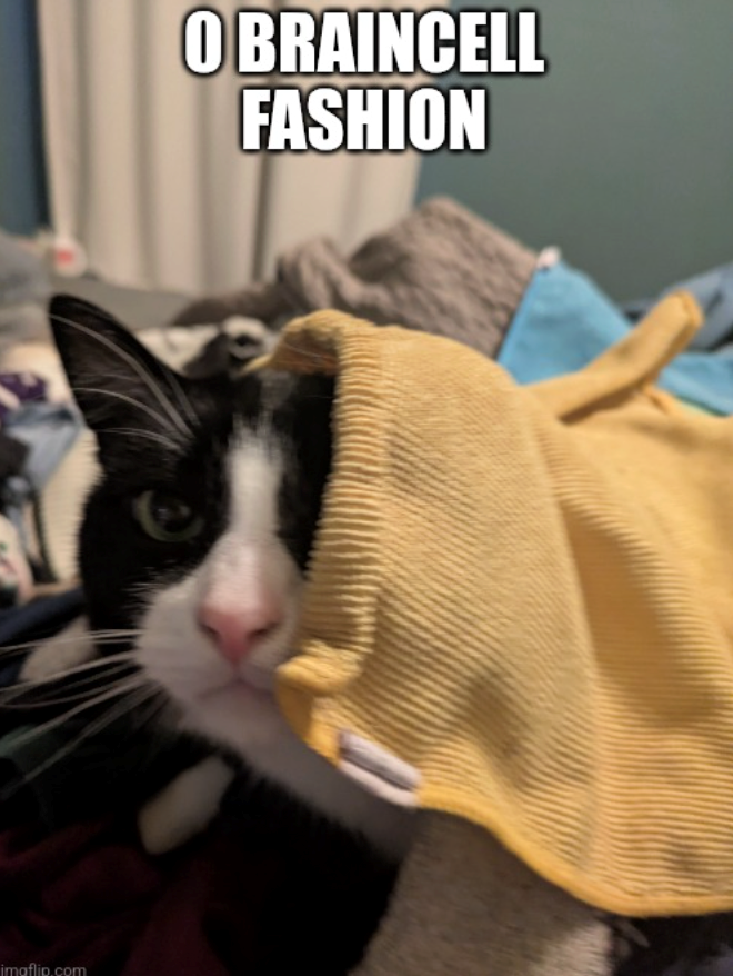 imaflip.com O BRAINCELL FASHION