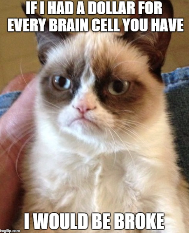 IF I HAD A DOLLAR FOR EVERY BRAIN CELL YOU HAVE imgflip.com I WOULD BE BROKE