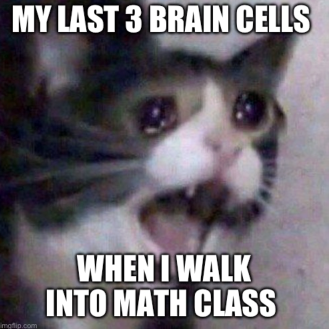 MY LAST 3 BRAIN CELLS imgflip.com WHEN I WALK INTO MATH CLASS
