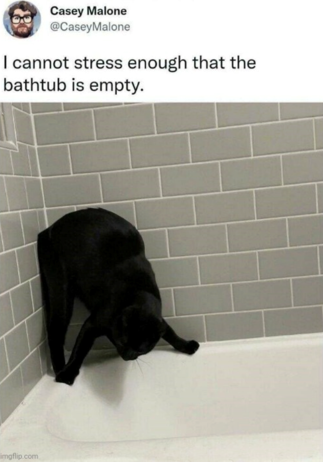Casey Malone @CaseyMalone I cannot stress enough that the bathtub is empty. imgflip.com