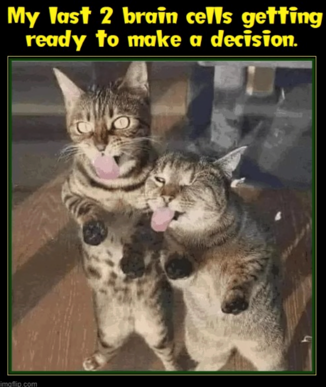 My last 2 brain cells getting ready to make a decision. imgflip.com
