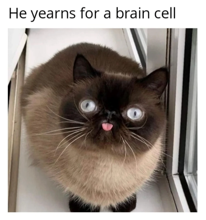 He yearns for a brain cell