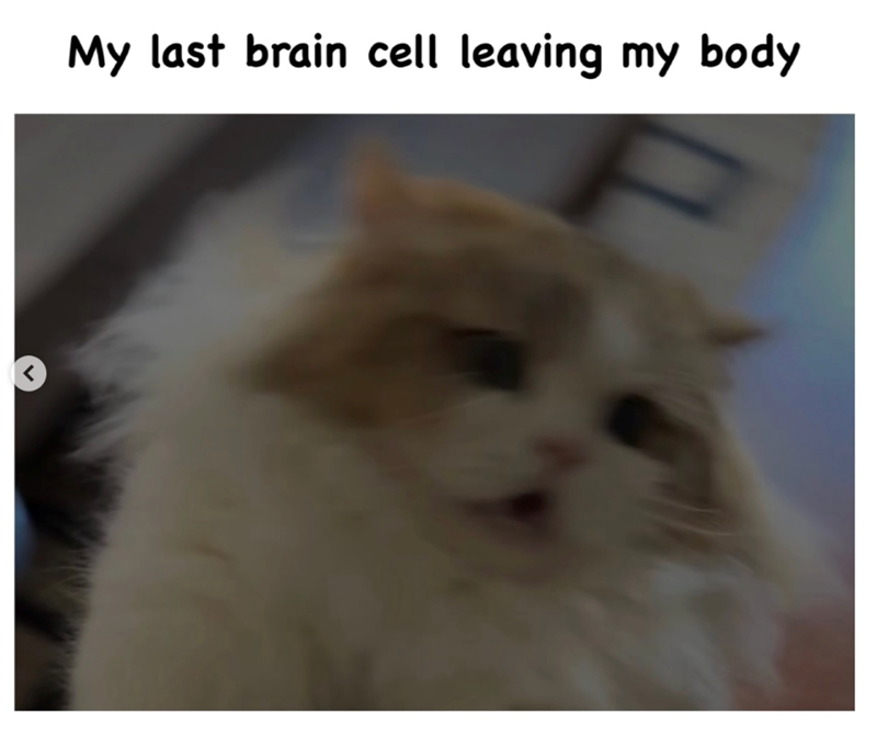 < My last brain cell leaving my body