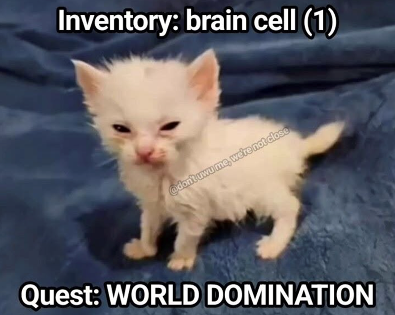 Inventory: brain cell (1) @don't uwu me, we're not close Quest: WORLD DOMINATION