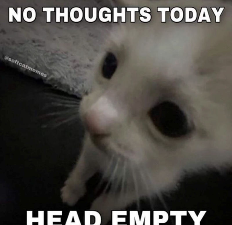 NO THOUGHTS TODAY @softcatmemes HEAD EMPTY