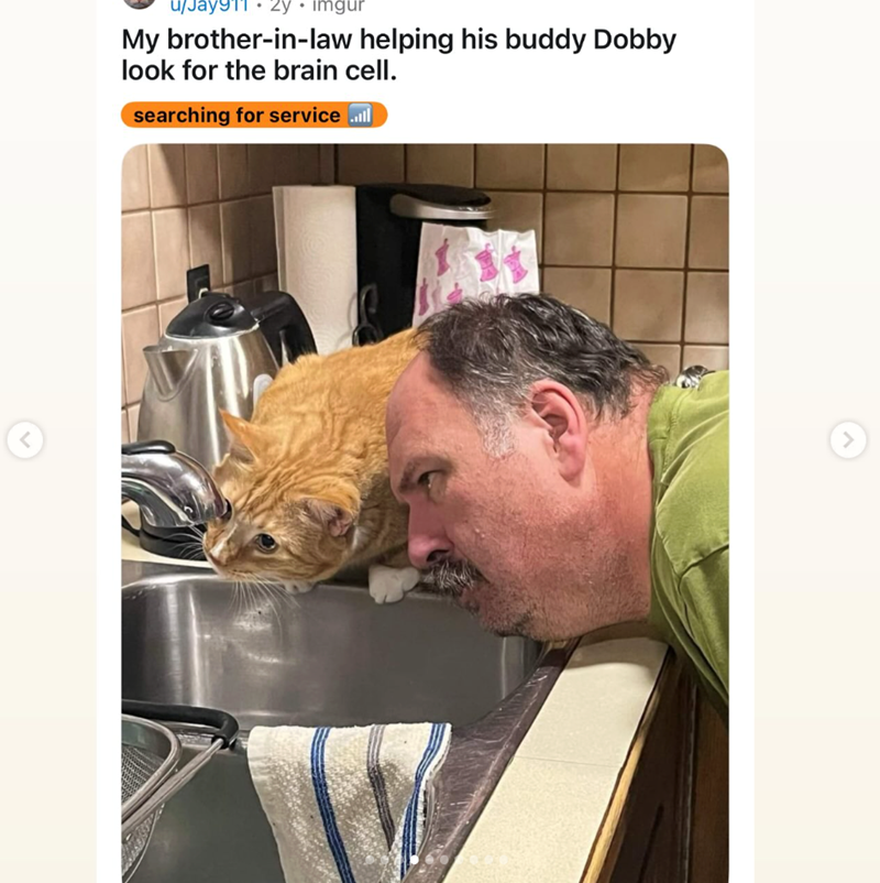 < u/Jay911. 2y.imgur My brother-in-law helping his buddy Dobby look for the brain cell. searching for service ..ll >