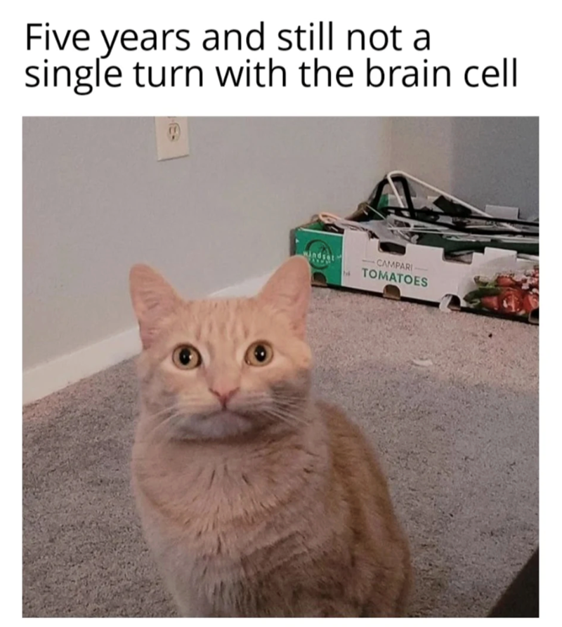 Five years and still not a single turn with the brain cell windset CAMPARI 2 TOMATOES