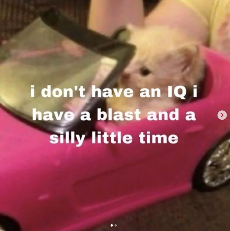 i don't have an IQ i have a blast and a silly little time >