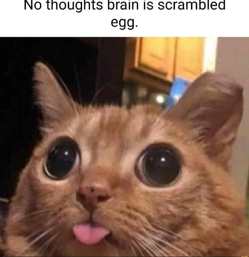 No thoughts brain is scrambled egg.