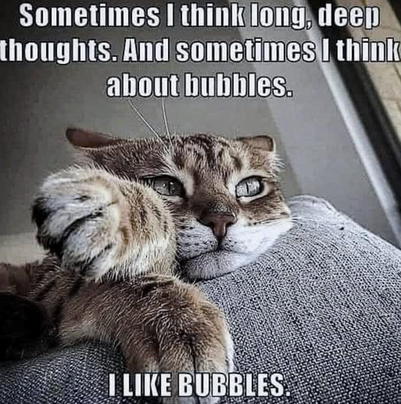 Sometimes I think long, deep thoughts. And sometimes I think about bubbles. I LIKE BUBBLES