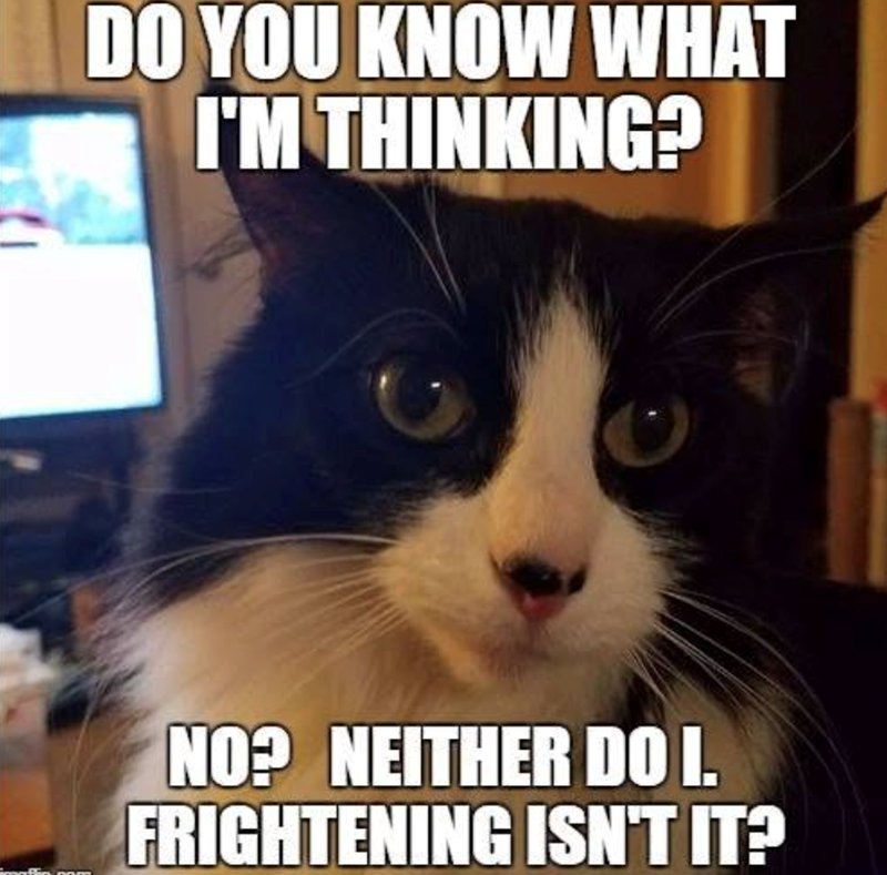 DO YOU KNOW WHAT I'M THINKING? NO? NEITHER DO I. FRIGHTENING ISN'T IT?