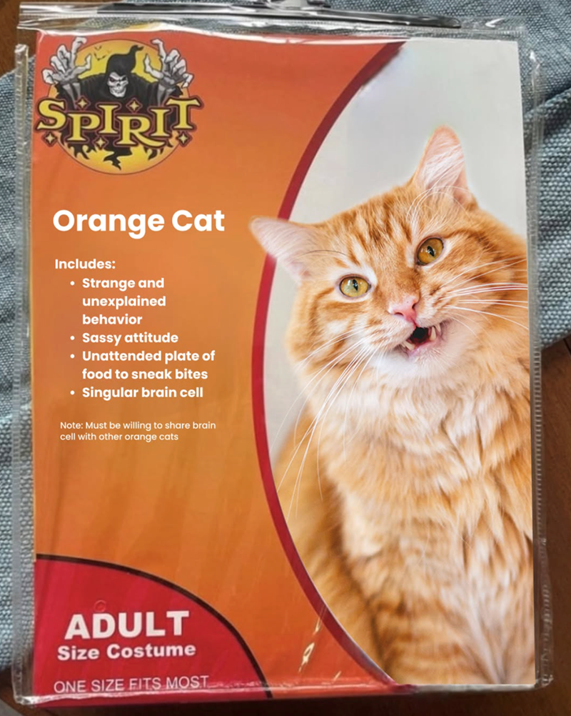 SPIRIT Orange Cat Includes: • Strange and unexplained behavior Sassy attitude Unattended plate of food to sneak bites Singular brain cell Note: Must be willing to share brain cell with other orange cats ADULT Size Costume ONE SIZE FITS MOST