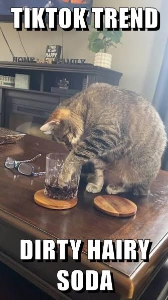 TIKTOK TREND THIS IS MY HAPPY HOME AYRILMILY DIRTY HAIRY SODA
