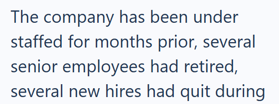 The company has been under staffed for months prior, several senior employees had retired, several new hires had quit during