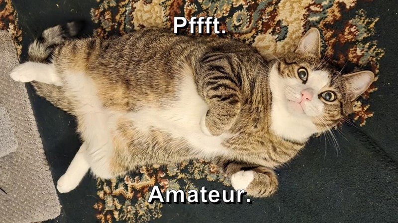 Pffft. Amateur.