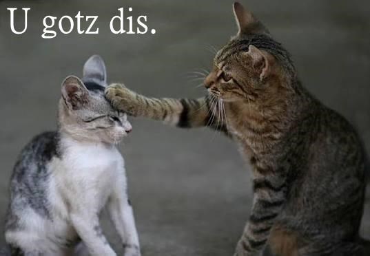 U gotz dis.