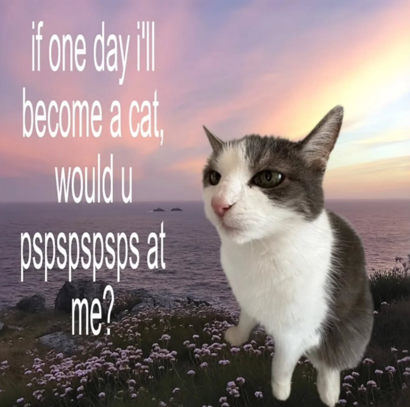 if one day i'll become a cat would u WO pspspspsps at me?