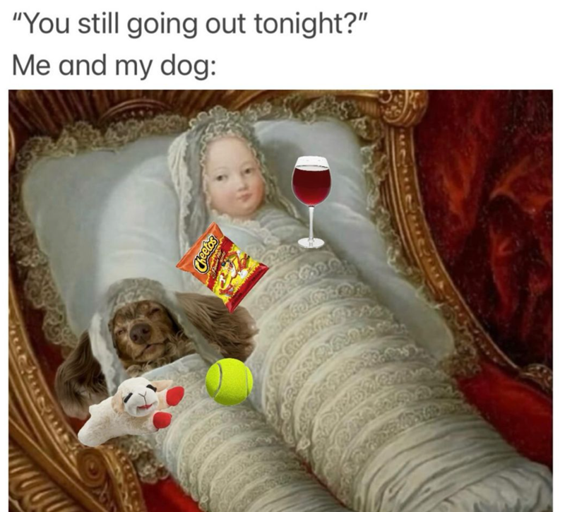"You still going out tonight?" Me and my dog: Cheetos