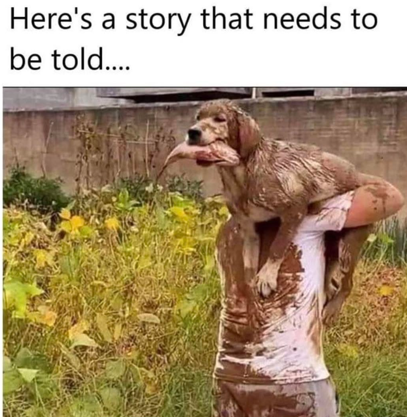 Here's a story that needs to be told....