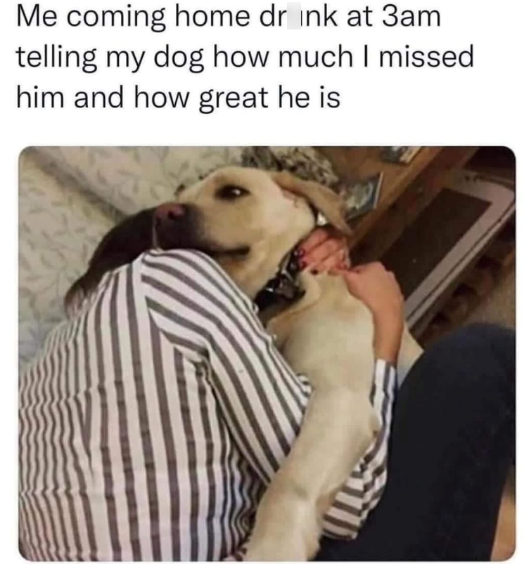 Me coming home drunk at 3am telling my dog how much I missed him and how great he is