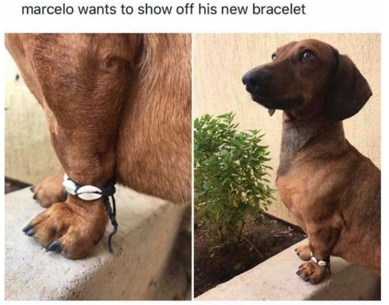 marcelo wants to show off his new bracelet
