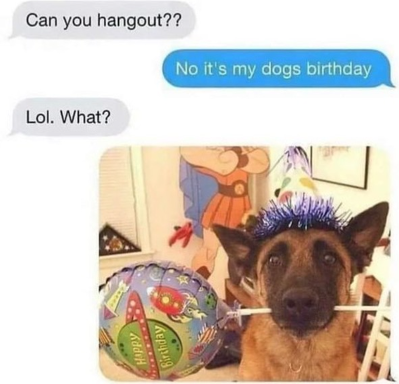 Can you hangout?? No it's my dogs birthday Lol. What? HAPPY Birthday