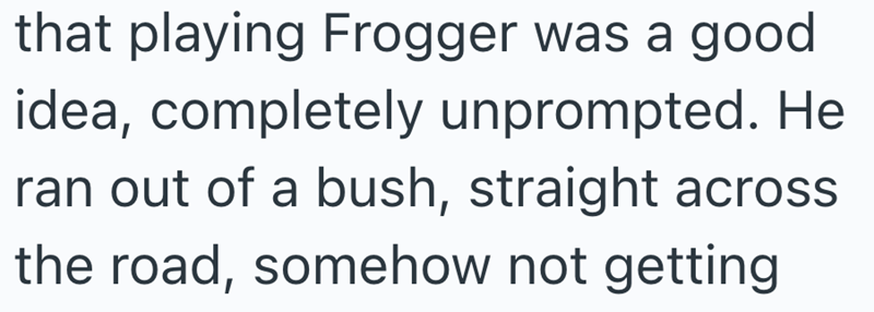 that playing Frogger was a good idea, completely unprompted. He ran out of a bush, straight across the road, somehow not getting