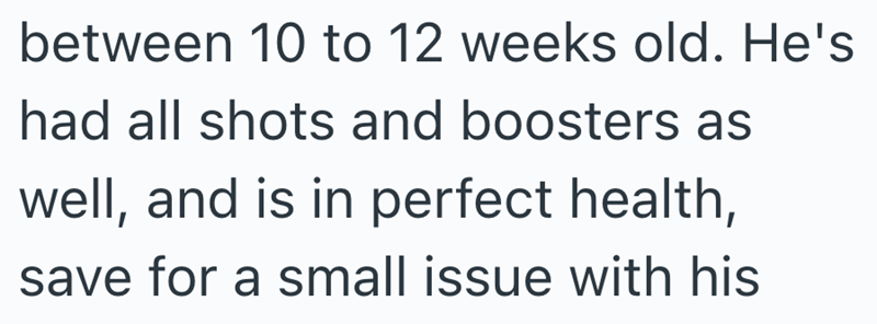 between 10 to 12 weeks old. He's had all shots and boosters as well, and is in perfect health, save for a small issue with his