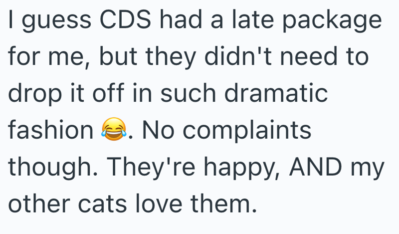 I guess CDS had a late package for me, but they didn't need to drop it off in such dramatic fashion . No complaints though. They're happy, AND my other cats love them.