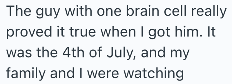 The guy with one brain cell really proved it true when I got him. It was the 4th of July, and my family and I were watching