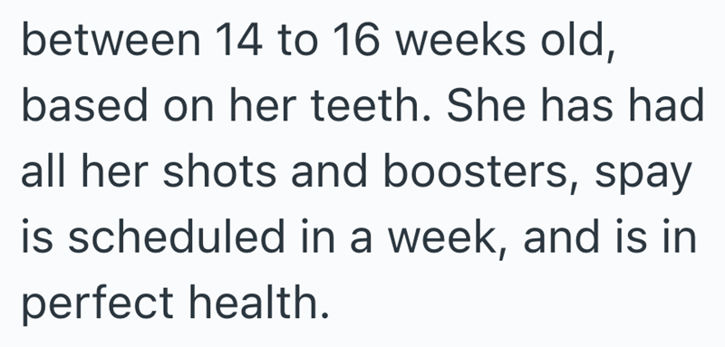 between 14 to 16 weeks old, based on her teeth. She has had all her shots and boosters, spay is scheduled in a week, and is in perfect health.