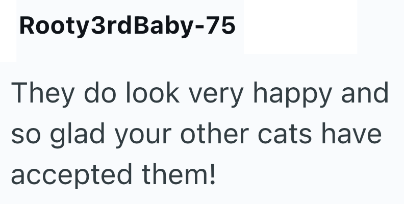 Rooty3rdBaby-75 They do look very happy and so glad your other cats have accepted them!
