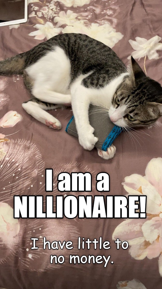 Lama NILLIONAIRE! I have little to no money.