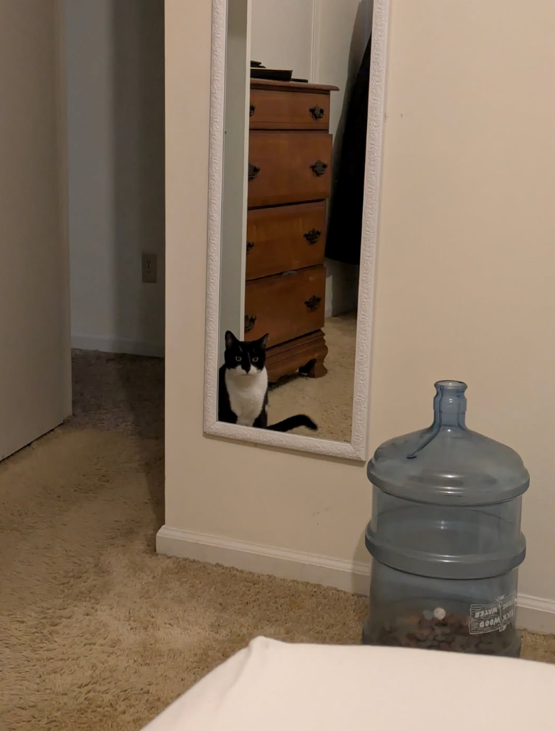 GOOM